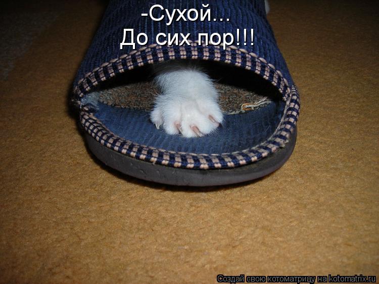 -Сухой... До сих пор!!!... Котоматрица: -Сухой... До сих пор!!!