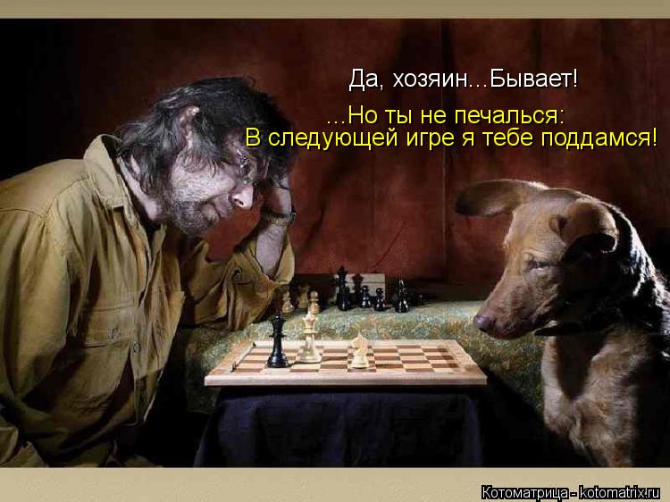 Да, хозяин...Бывает! ...Но ты не печалься: В следующей игре я тебе поддамся!... Котоматрица: Да, хозяин...Бывает! ...Но ты не печалься: В следующей игре я тебе поддамся!