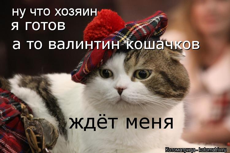 ну что хозяин я готов а то валинтин кошачков ждёт меня... Котоматрица: ну что хозяин я готов а то валинтин кошачков ждёт меня