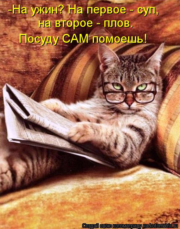 Котоматрица: -На ужин? На первое - суп,  на второе - плов. Посуду САМ помоешь!