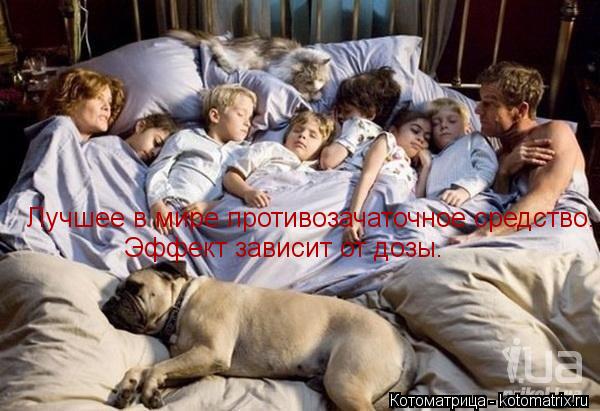 Лучшее в мире противозачаточное средство. Эффект зависит от дозы. Эффект зависит от дозы.... Котоматрица: Лучшее в мире противозачаточное средство. Эффект зависит от дозы. Эффект зависит от дозы.