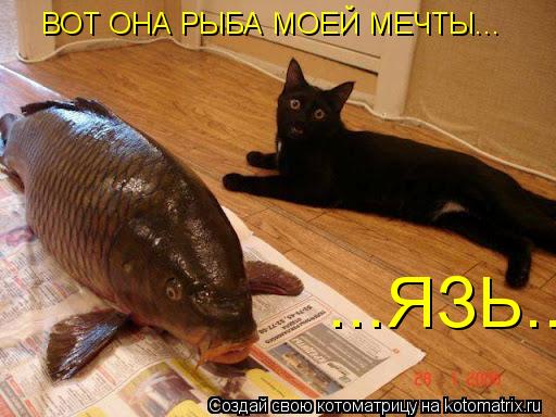 Котоматрица: ВОТ ОНА РЫБА МОЕЙ МЕЧТЫ... ...ЯЗЬ...