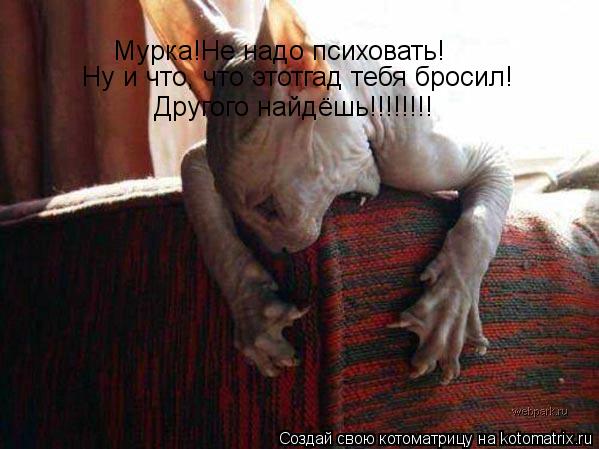 Котоматрица: Мурка!Не надо психовать! Ну и что, что этотгад тебя бросил! Другого найдёшь!!!!!!!!