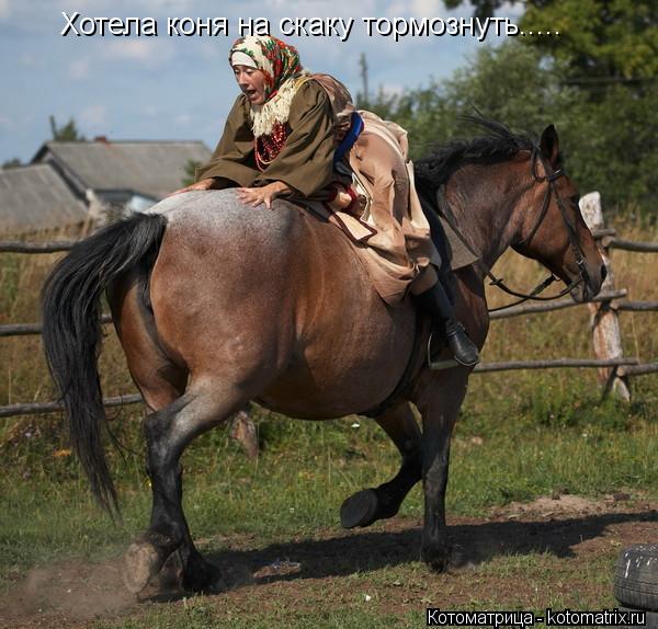 Котоматрица: Хотела коня на скаку тормознуть.....