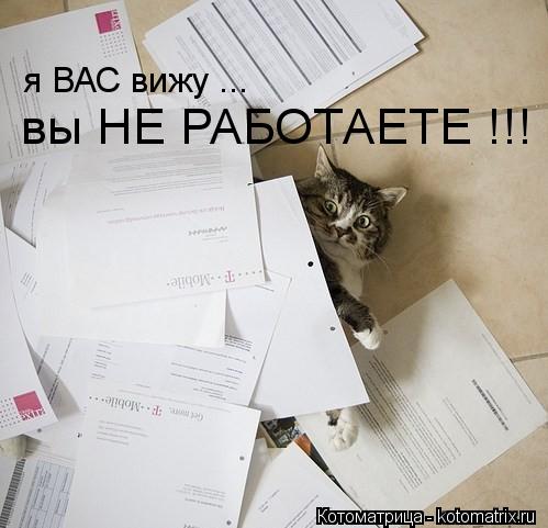 вы НЕ РАБОТАЕТЕ !!! я ВАС вижу ...... Котоматрица: вы НЕ РАБОТАЕТЕ !!! я ВАС вижу ...