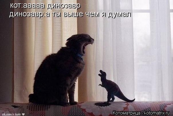 кот:ааааа динозавр динозавр:а ты выше чем я думал динозавр:а ты выше чем я думал... Котоматрица: кот:ааааа динозавр динозавр:а ты выше чем я думал динозавр:а ты выше чем я думал