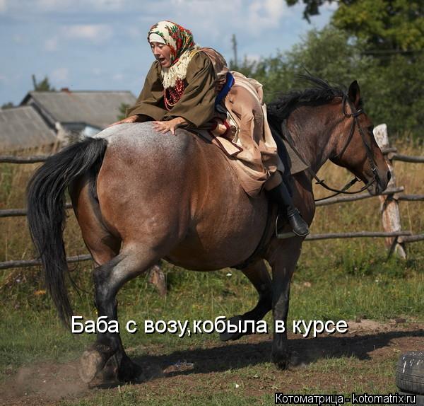 Котоматрица: Баба с возу,кобыла в курсе