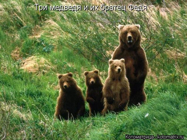 Котоматрица: Три медведя и их братец Федя
