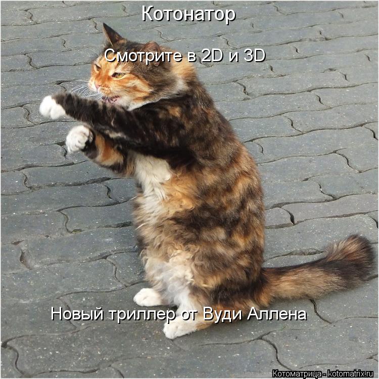 Котонатор Смотрите в 2D и 3D Новый триллер от Вуди Аллена... Котоматрица: Котонатор Смотрите в 2D и 3D Новый триллер от Вуди Аллена