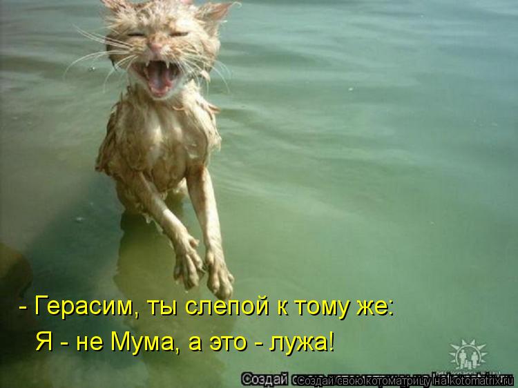 - Герасим, ты слепой к тому же: Я - не Мума, а это - лужа!... Котоматрица: - Герасим, ты слепой к тому же: Я - не Мума, а это - лужа!