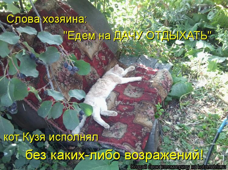 Котоматрица: "Едем на ДАЧУ ОТДЫХАТЬ" Слова хозяина: кот Кузя исполнял  без каких-либо возражений!