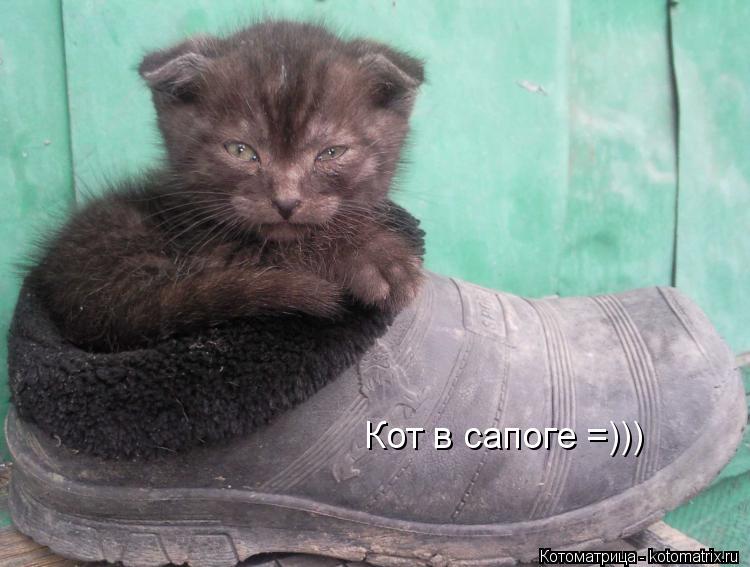 Котоматрица: Кот в сапоге =)))