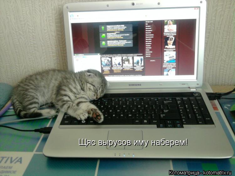 Щяс вырусов иму наберем!... Котоматрица: Щяс вырусов иму наберем!