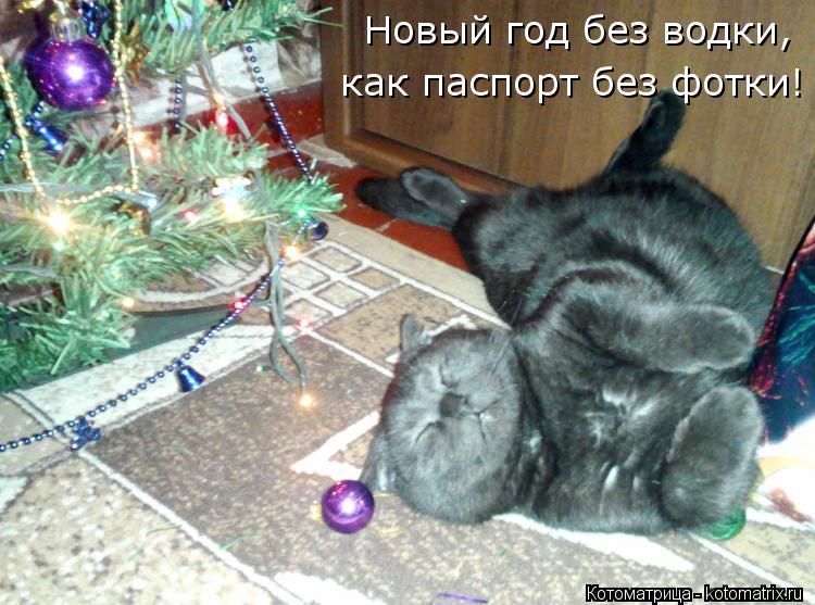Котоматрица: Новый год без водки,  как паспорт без фотки!