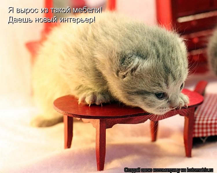 Котоматрица: Я вырос из такой мебели! Даешь новый интерьер!