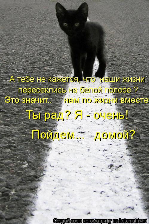 А тебе не кажется, что наши жизни пересеклись на белой полосе ? Это значит.. нам по жизни вмес... Котоматрица: А тебе не кажется, что наши жизни пересеклись на белой полосе ? Это значит.. нам по жизни вместе... Ты рад? Я - очень! Пойдем... домой?