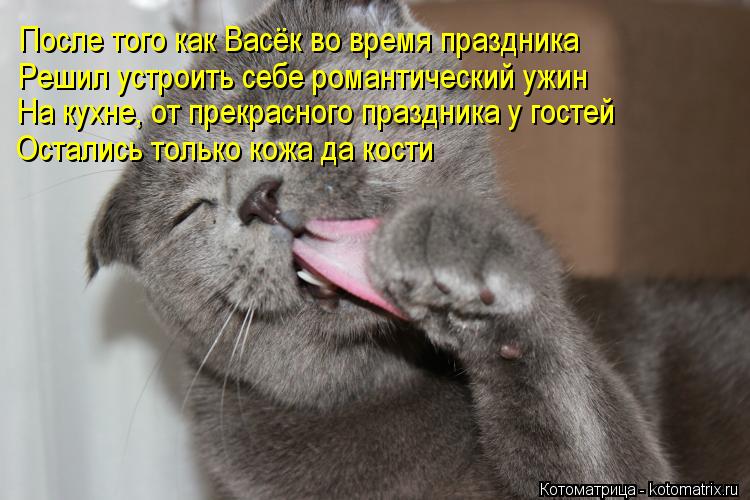 После того как Васёк во время праздника Решил устроить себе романтический ужин На кухне, от прекрасн... Котоматрица: После того как Васёк во время праздника Решил устроить себе романтический ужин На кухне, от прекрасного праздника у гостей Остались тольк