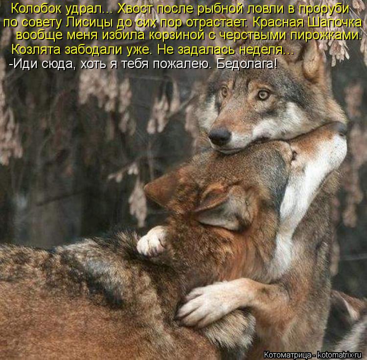 Колобок удрал... Хвост после рыбной ловли в проруби по совету Лисицы до сих пор отрастает. Красная Ша... Котоматрица: Колобок удрал... Хвост после рыбной ловли в проруби по совету Лисицы до сих пор отрастает. Красная Шапочка вообще меня избила корзиной с чер