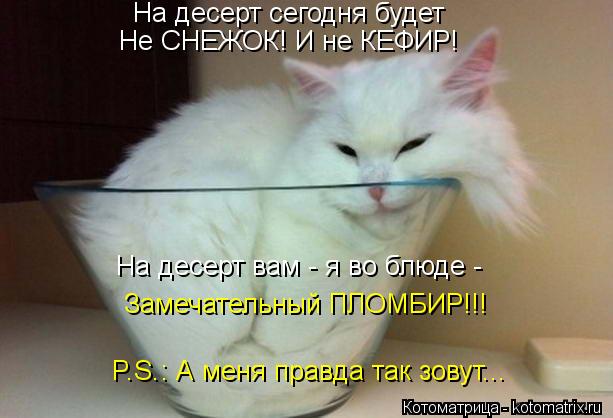 Замечательный ПЛОМБИР!!! P.S.: А меня правда так зовут... На десерт сегодня будет Не СНЕЖОК! И не КЕ... Котоматрица: Замечательный ПЛОМБИР!!! P.S.: А меня правда так зовут... На десерт сегодня будет Не СНЕЖОК! И не КЕФИР! На десерт вам - я во блюде -