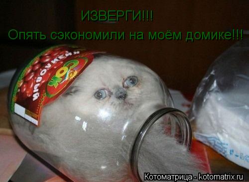 ИЗВЕРГИ!!! Опять сэкономили на моём домике!!!... Котоматрица: ИЗВЕРГИ!!! Опять сэкономили на моём домике!!!