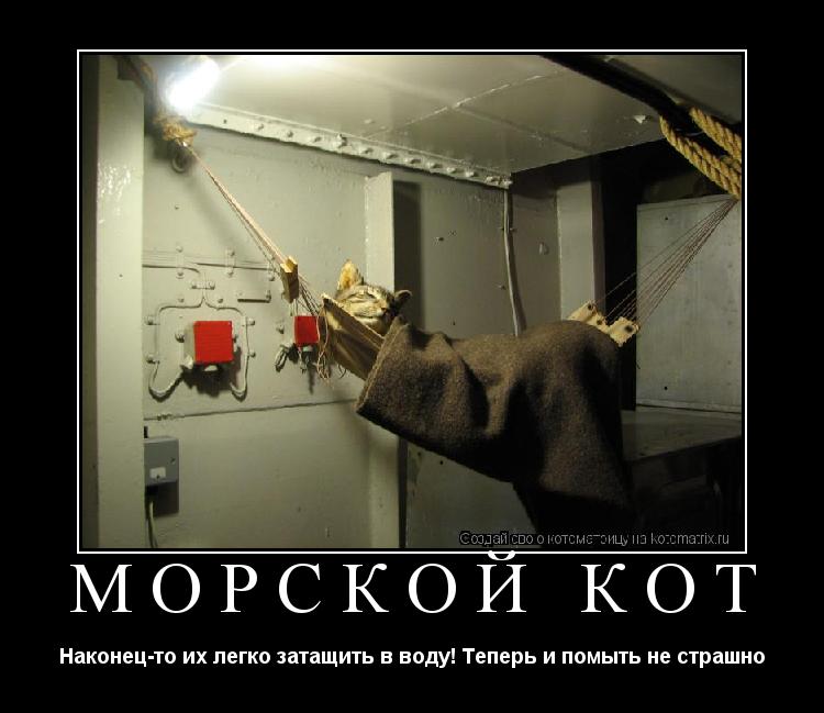 Котоматрица: Морской кот Наконец-то их легко затащить в воду! Теперь и помыть не страшно