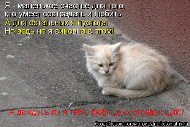 Я - маленькое счастье для того, кто умеет сострадать и любить. А для остальных я пустота! Но ведь не ... Котоматрица: Я - маленькое счастье для того, кто умеет сострадать и любить. А для остальных я пустота! Но ведь не я виновна в этом! А дождусь ли я тебя, любя