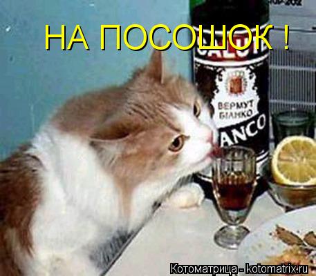 НА ПОСОШОК !... Котоматрица: НА ПОСОШОК !
