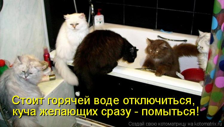 http://kotomatrix.ru/images/lolz/2012/05/30/11b8732f8d.jpg