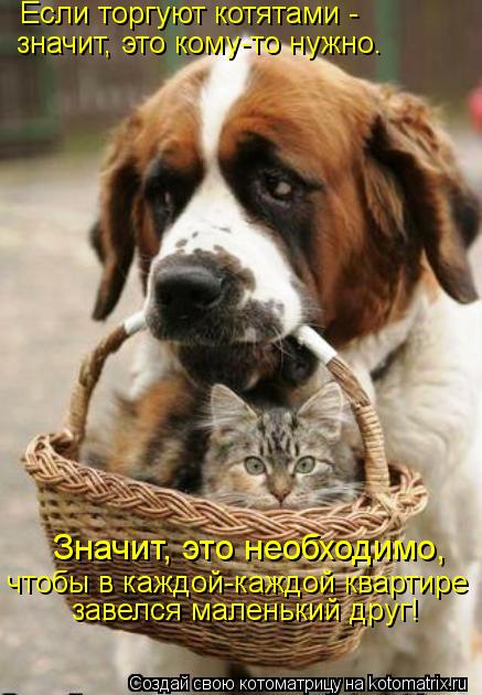 Котоматрица: Если торгуют котятами -  значит, это кому-то нужно. Значит, это необходимо,  чтобы в каждой-каждой квартире завелся маленький друг!