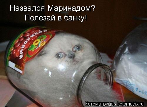 Назвался Маринадом? Полезай в банку!... Котоматрица: Назвался Маринадом? Полезай в банку!