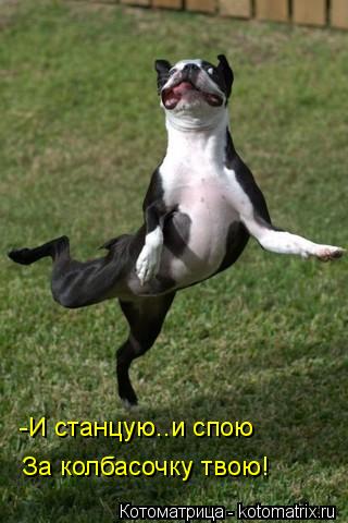-И станцую..и спою За колбасочку твою!... Котоматрица: -И станцую..и спою За колбасочку твою!
