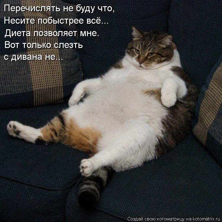Перечислять не буду что, Несите побыстрее всё... Диета позволяет мне. Вот только слезть с дивана не.... Котоматрица: Перечислять не буду что, Несите побыстрее всё... Диета позволяет мне. Вот только слезть с дивана не...