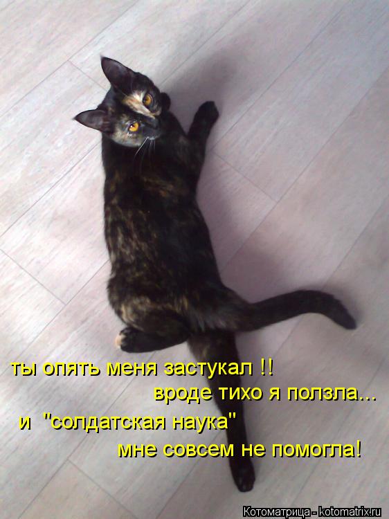 ты опять меня застукал !! вроде тихо я ползла... и "солдатская наука" мне совсем не помогла!... Котоматрица: ты опять меня застукал !! вроде тихо я ползла... и "солдатская наука" мне совсем не помогла!