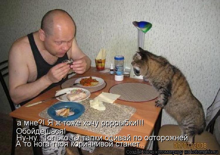 Котоматрица: а мне?! Я ж тоже хочу ррррыбки!!! Обойдешься! Ну-ну...Только ты тапки одивай по осторожней А то нога твоя коричнивой станет...