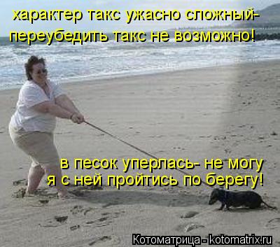 Котоматрица: характер такс ужасно сложный- переубедить такс не возможно! в песок уперлась- не могу я с ней пройтись по берегу!