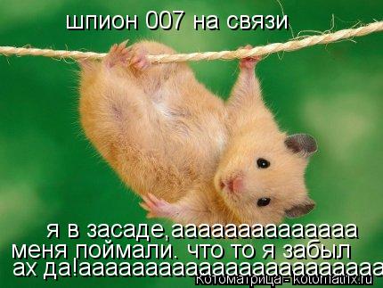Котоматрица: шпион 007 на связи  я в засаде,аааааааааааааа меня поймали. что то я забыл ах да!аааааааааааааааааааааааааа
