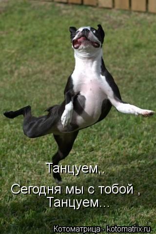 Котоматрица: Танцуем,. Сегодня мы с тобой , Танцуем...