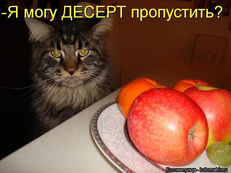 Котоматрица: -Я могу ДЕСЕРТ пропустить?