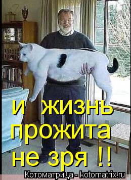 прожита не зря !! и жизнь... Котоматрица: прожита не зря !! и жизнь