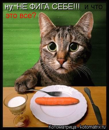 ну, НЕ ФИГА СЕБЕ!!! и что это все?... Котоматрица: ну, НЕ ФИГА СЕБЕ!!! и что это все?