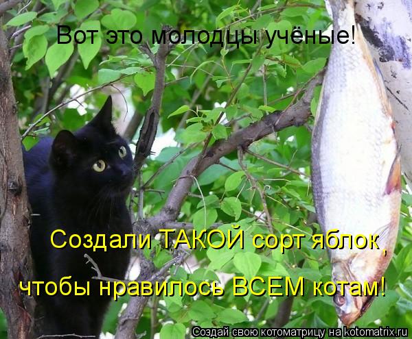 Котоматрица: Вот это молодцы учёные! Создали ТАКОЙ сорт яблок , чтобы нравилось ВСЕМ котам!