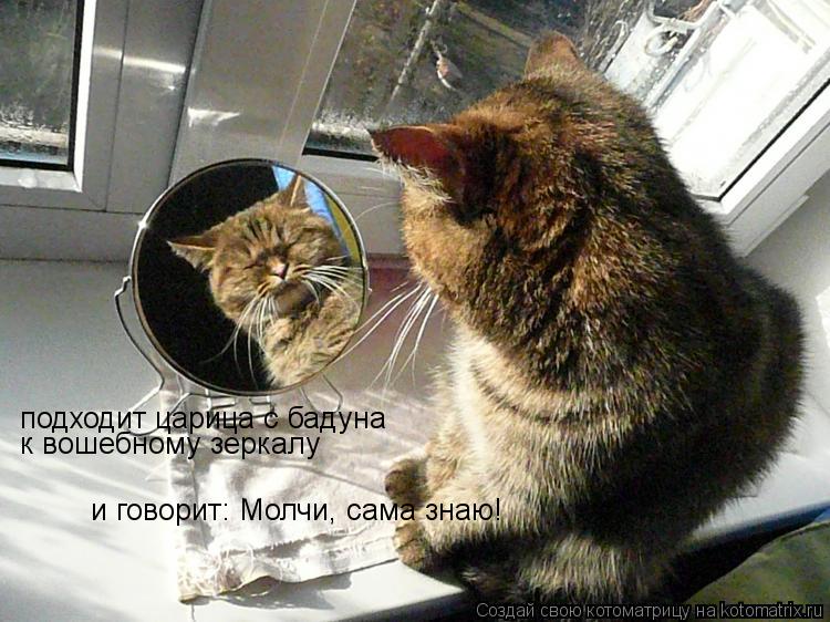 подходит царица с бадуна к вошебному зеркалу и говорит: Молчи, сама знаю!... Котоматрица: подходит царица с бадуна к вошебному зеркалу и говорит: Молчи, сама знаю!