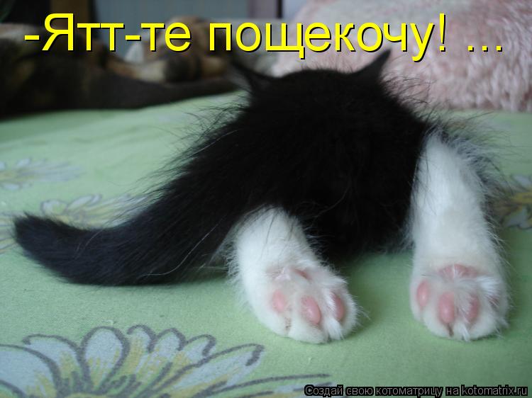 Котоматрица: -Ятт-те пощекочу! ...