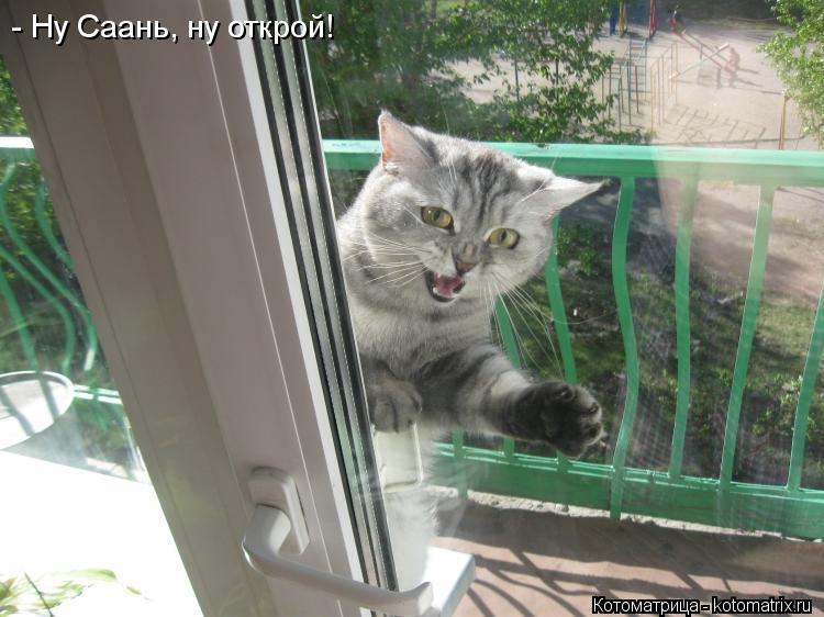 Котоматрица: - Ну Саань, ну открой!