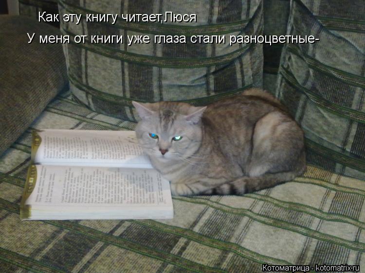 Как эту книгу читает,Люся У меня от книги уже глаза стали разноцветные-... Котоматрица: Как эту книгу читает,Люся У меня от книги уже глаза стали разноцветные-