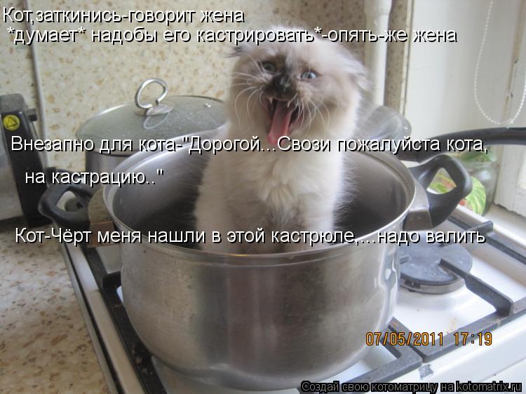 Котоматрица: Кот,заткинись-говорит жена *думает* надобы его кастрировать*-опять-же жена Внезапно для кота-"Дорогой...Свози пожалуйста кота, на кастрацию.."
