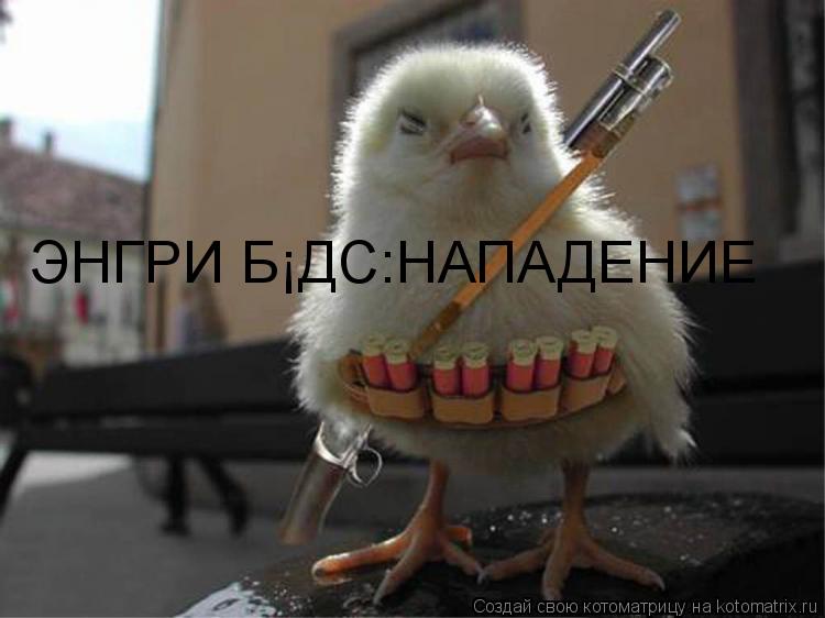 ЭНГРИ БЁДС:НАПАДЕНИЕ... Котоматрица: ЭНГРИ БЁДС:НАПАДЕНИЕ