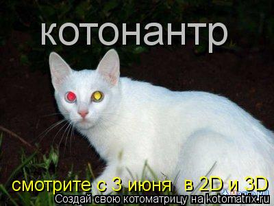 котонантр смотрите с 3 июня в 2D и 3D... Котоматрица: котонантр смотрите с 3 июня в 2D и 3D