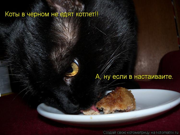 Коты в черном не едят котлет!! А, ну если в настаиваите.... Котоматрица: Коты в черном не едят котлет!! А, ну если в настаиваите.