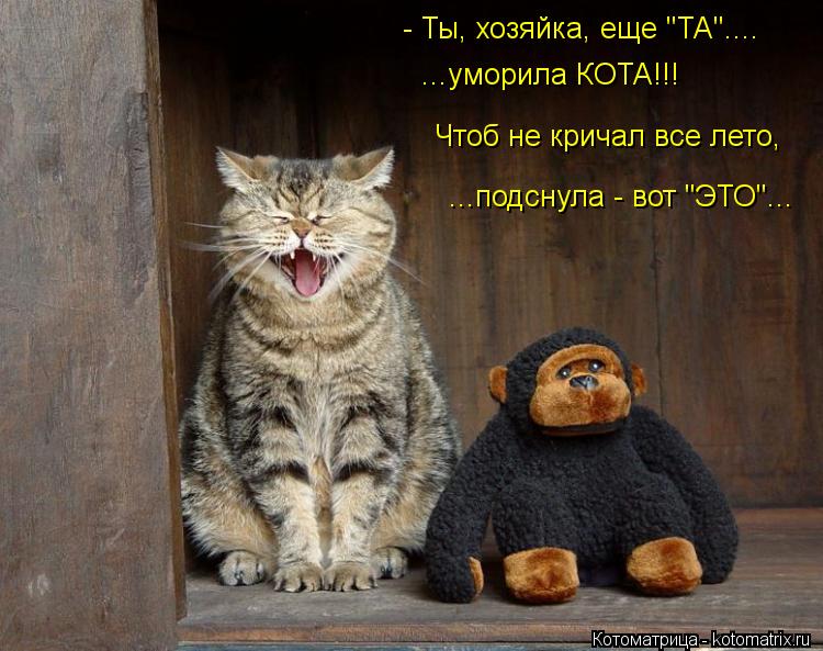 - Ты, хозяйка, еще "ТА".... ...уморила КОТА!!! Чтоб не кричал все лето, ...подснула - вот "ЭТО"...... Котоматрица: - Ты, хозяйка, еще "ТА".... ...уморила КОТА!!! Чтоб не кричал все лето, ...подснула - вот "ЭТО"...